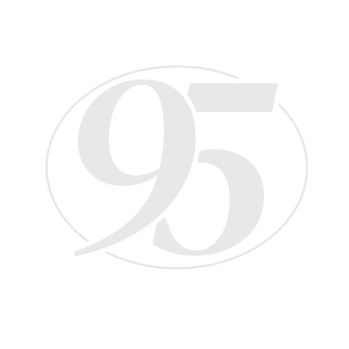 Ninetyfive Logo